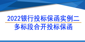 保函,多標(biāo)段合開(kāi)一張投標(biāo)保函