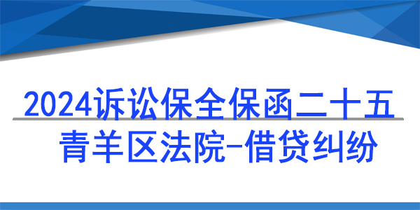 成都市青羊區人民法院,訴訟保全