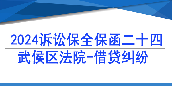 武侯區人民法院,訴訟保全